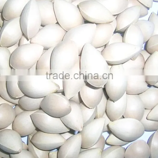 Yin Xing Dried Ginkgo Fruits Ginko Biloba photo-3