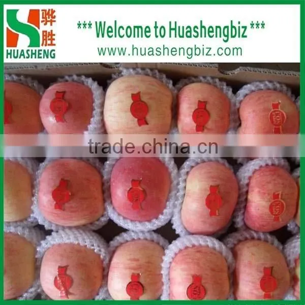 Latest Red Apple Price/sweet Red Fresh Apple for Sale photo-5