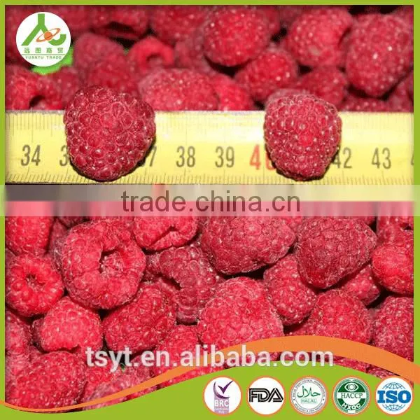 Golden Supplier of Top Quality IQF Frozen Raspberry photo-5