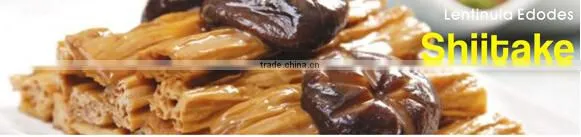 Dried Shitake Mushroom for Importer photo-6