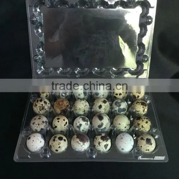 Wholesales Price Disposable PVC Quail Egg Tray photo-2