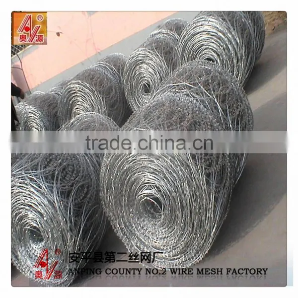 Galvanized Razor Barbed Wire and Stainless Steel Razor Barbed Wire Mesh photo-4