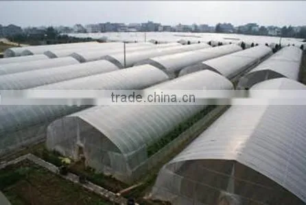 Greenhouse Tent photo-3