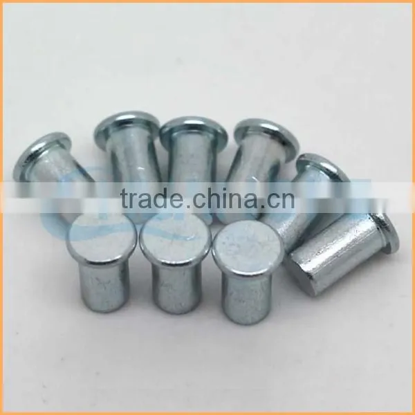 Factory Supply Best Price Galvanized Aluminum Solid Rivet photo-3