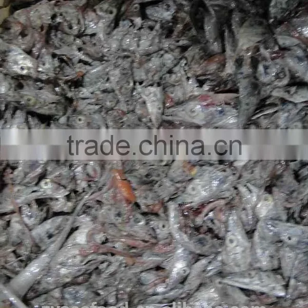 Fish Head Tail Gut photo-4