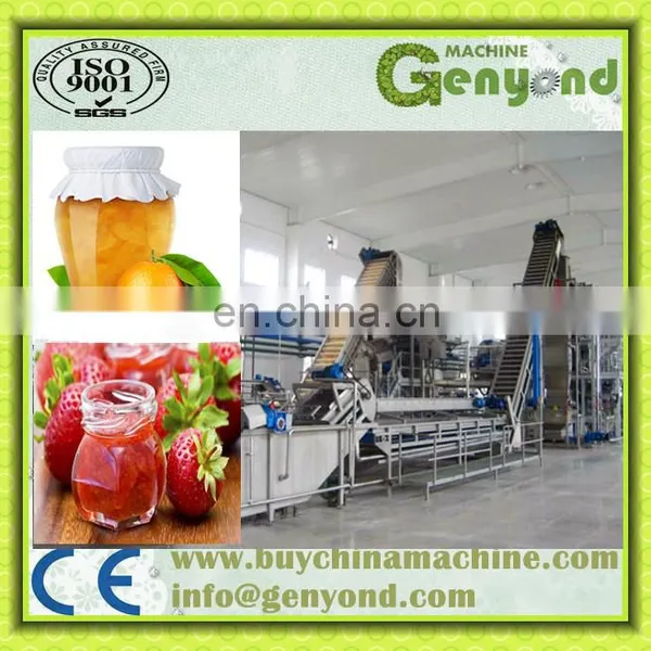 Mango Jam/pulp/sauce/paste/juice Processing Plant photo-3