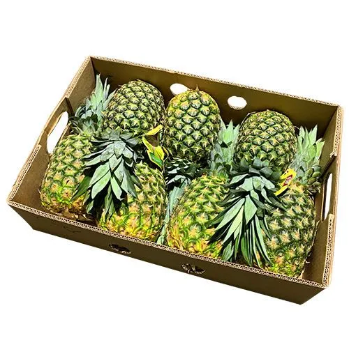 OEM Recyclable Coated Paper 1kg Orange Fruit Box for Export Shipping photo-2