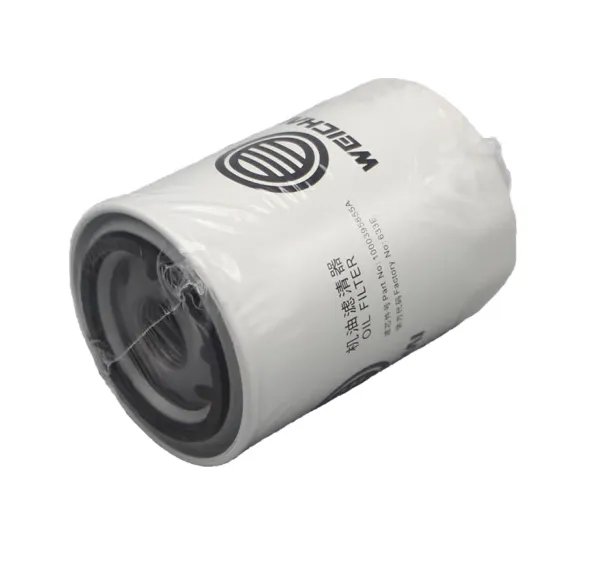 Hot Selling High Quality Fuel Filters 1000395855 Oil Filter for Wei Chai Top Construction Machinery Parts photo-6