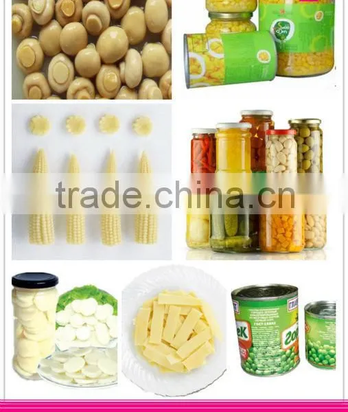 Buy China Canned Fruit Peaches photo-4