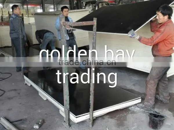 Marine Plywood/shuttering Plywood/film Faced Plywood Same Qaulity With DANUBE,CNBM,PVS photo-5