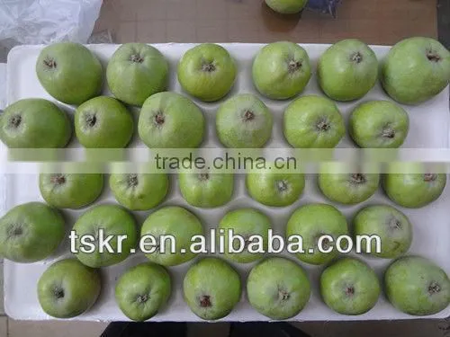 Golden Crisp Apples Non-bagged Golden Apples This Year