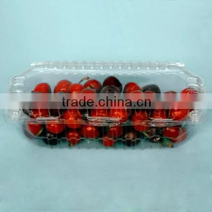 PET Plastic Transparent Cherry Box photo-3