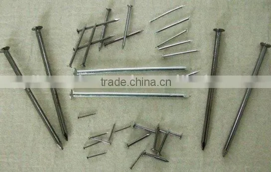 Common Nails