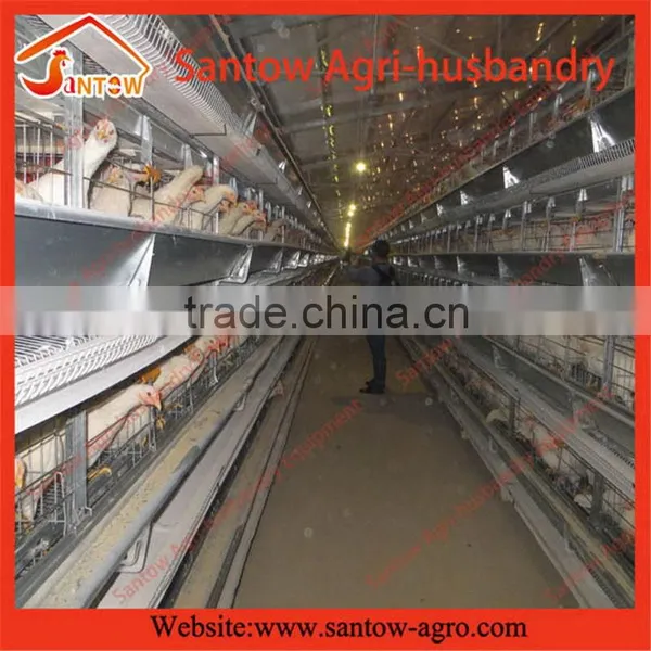 Stable Steel Structure Chicken Egg Layer Cage Automated Battery Cages for Chickens photo-4