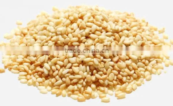 Sesame Seed Black P.e.| High Quality Black Sesame Seeds Powder Sesamin photo-2