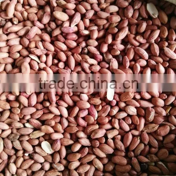 Supply High Quality Peanut Kernels photo-6