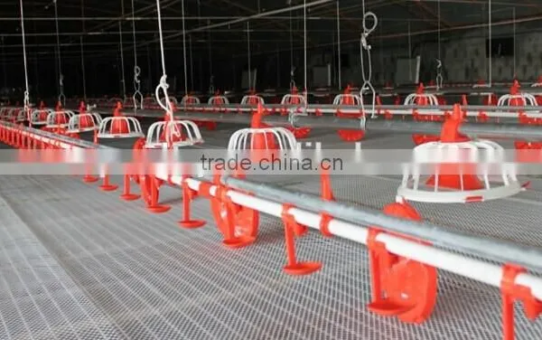 Automatic Broiler Poultry Farm Equipment for Sale photo-5