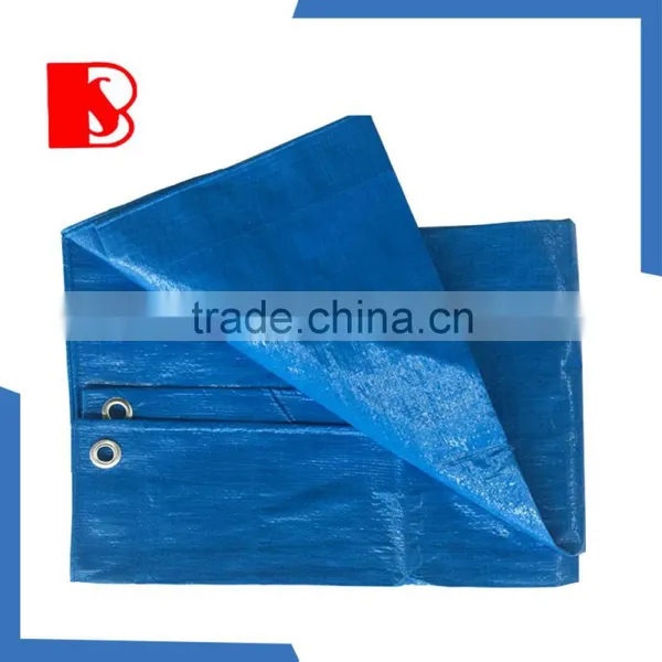 Reinforced Band Tarpaulin, 2015 Hot Sale pe Tarpaulin Cover,reinforced Eyelets Tarpaulin photo-4