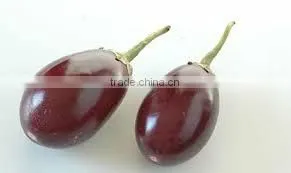 BRINJAL VIOLET