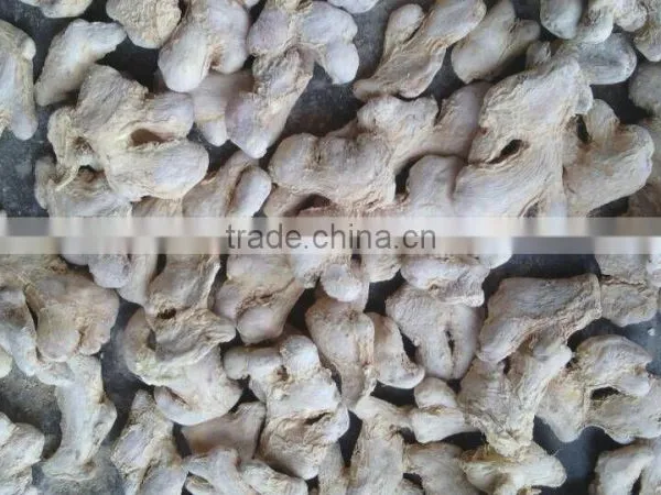 Dry Ginger photo-2