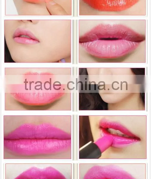 Wholesale Long Lasting Lipstick Tube Matte Lipstick Case for Cosmetic Use photo-3