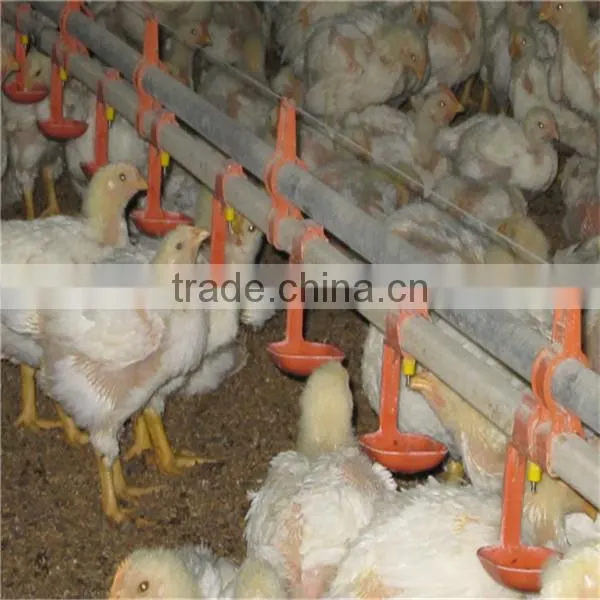 Automatic Chicken Raising Equipment