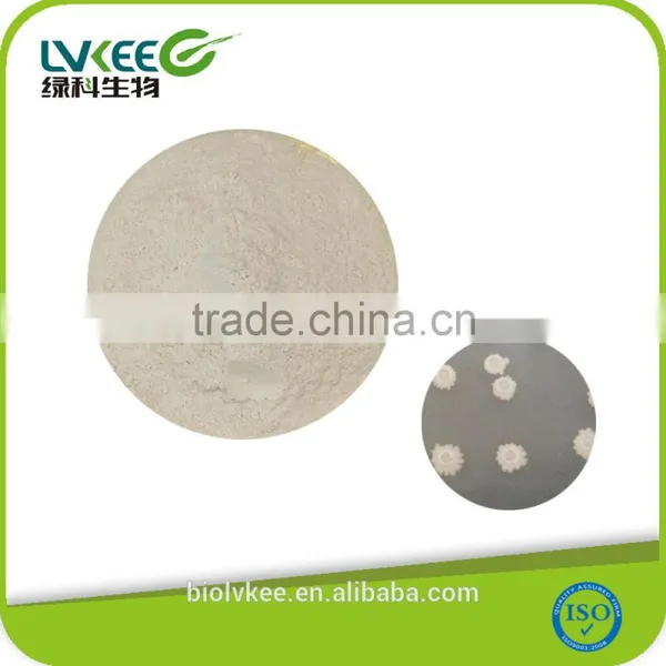 20 Billion Cfu/g Proteolytic Bacillus Subtilis for Aquaculture Nutrition photo-2