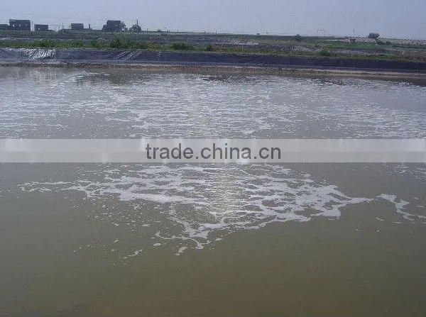 Aerator for Shrimp/equipments for Fish Farming photo-4