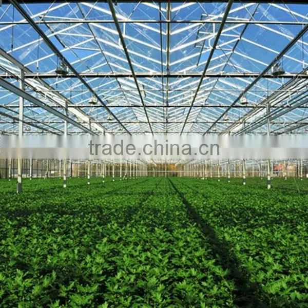 Good Daylighting Glasshouse Big Shed,greenhouse for Agriculture,frp Hothouses From Suppliers photo-4