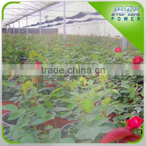 Flower Garden Greenhouse Irrigation Series photo-4