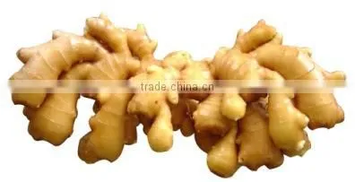OULENO Manufacturers Supply Multifunctional Cutting Cut Ginger Siji Qiecai Machine Cut Bamboo Shoots and Ginger Shred Sausage ca photo-4