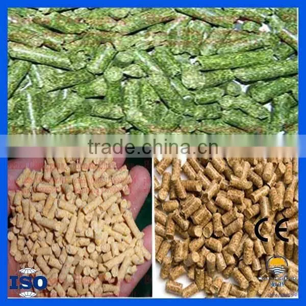China Supplier Ring Die Grass Feed Pellet Maker photo-6