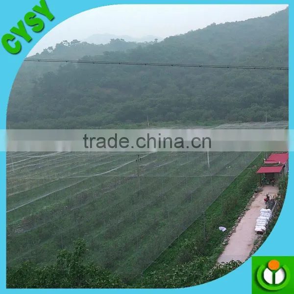 Factory Directly Supply Vineyard Green Anti Bird Netting photo-2