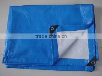 Customized Corrosion Resistant Manta Polyester Waterproof Fabric pe Tarpaulin photo-2