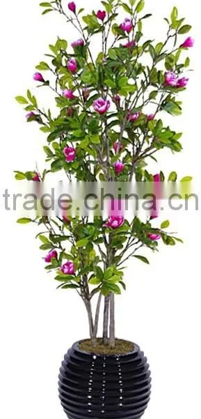Indoor Home Garden Decorative 250cm Height Make Artificial Green Live Magnolia Bonsai Tree EXLYPZ06 0507 photo-2