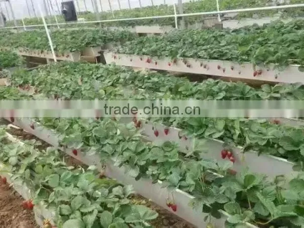 Space Saving Vertical Hydroponics photo-2