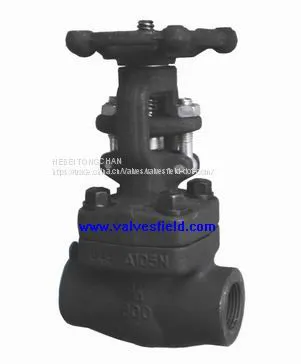 Forged Steel Valves photo-3