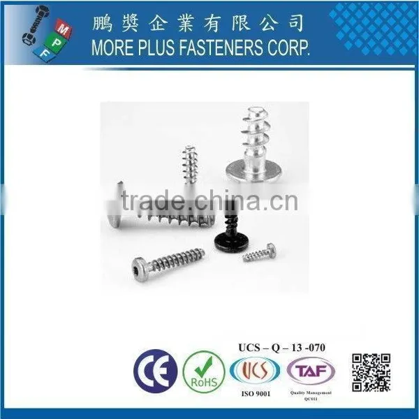 Taiwan Stainless Steel 18-8 Chrome Plated Steel Nickel Plated Steel Copper Brass Special Rivet and Screw photo-4