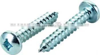 Made in Taiwan Stainless Steel 306 Standard Tapping Screw Self Tapping Screw photo-3