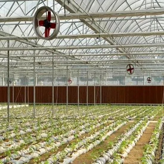 Agriculture Tomato Vegetable Double Plastic Film Inflatable Greenhouse photo-2