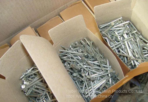 Manufacturer DIN 1152 Blank Compressed Metal Iron Common Concrete Wire Nails photo-3
