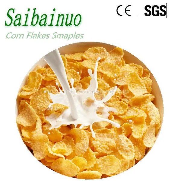 Corn Flex Processing Machinery photo-4