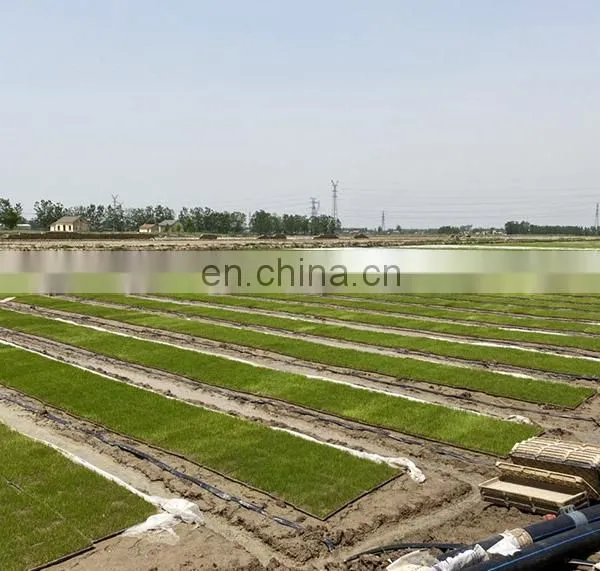 Kubota Latest Automatic Rice Nursery Sowing Machine photo-4