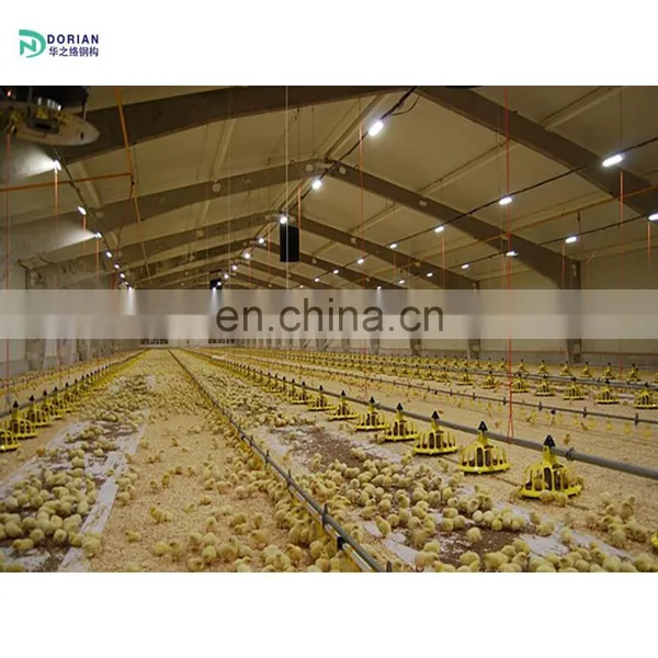 Farm Construction Chicken House for 3000 Chicken photo-3