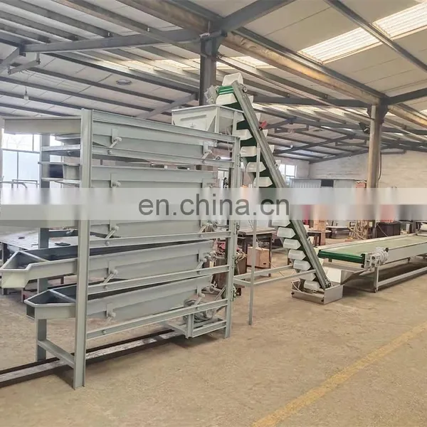 Walnut Shell Crusher Shell Kernel Separating Machine Almond Nuts Sheller Machine photo-5