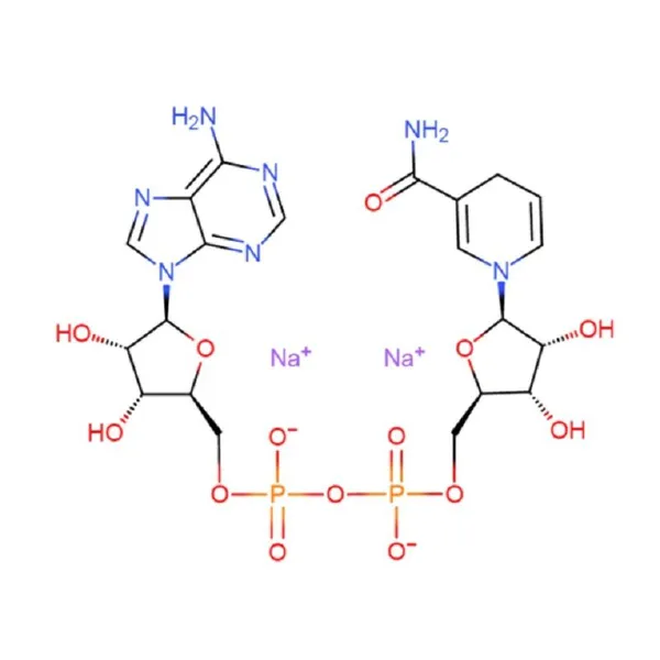 NADH β-Nicotinamide Adenine Dinucleotide Disodium Salt photo-5