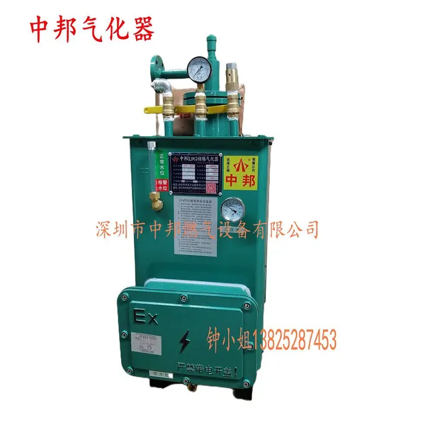 ZHONGBANG 50KG/H Square Floor-standing Type LPG Vaporizer photo-2