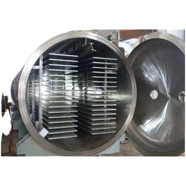 Large-scale Vacuum Freeze Dryer for Fruit Drying