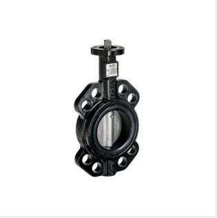 BELIMO Motorized Control Ball Valve EV065F+BAC for HVAC System