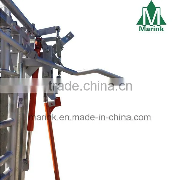 Cattle Crush / Cattle Chute / Squeeze for Cow